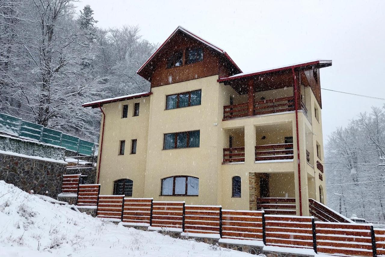 Casa Raisa Hotel Busteni Luaran gambar